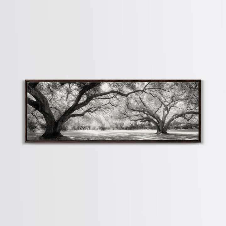 Sprawling Trees, Oak Forest, Sunlit Canopy, Majestic Branches, Canvas Print, Nature Wall Art, Boho Decor, Living Room Statement Piece