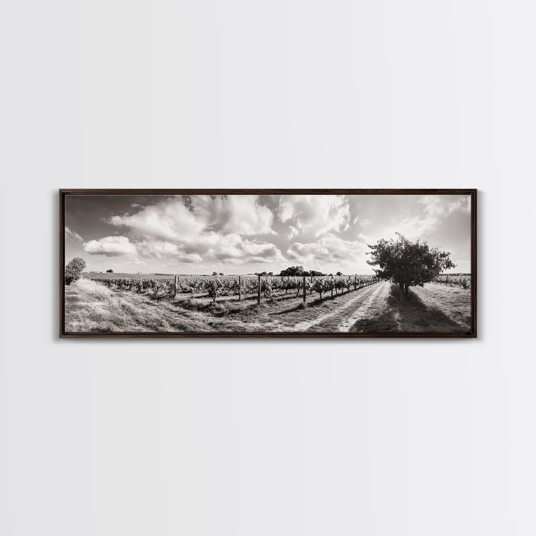 Vineyard Rows, Sunny Fields, Cloudy Sky, Canvas Print, Rustic Country Decor, Dining Room Wall Art, Wine Country Landscape, Farmhouse Style