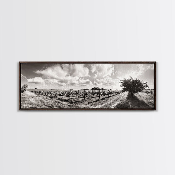 Vineyard Rows, Sunny Fields, Cloudy Sky, Canvas Print, Rustic Country Decor, Dining Room Wall Art, Wine Country Landscape, Farmhouse Style