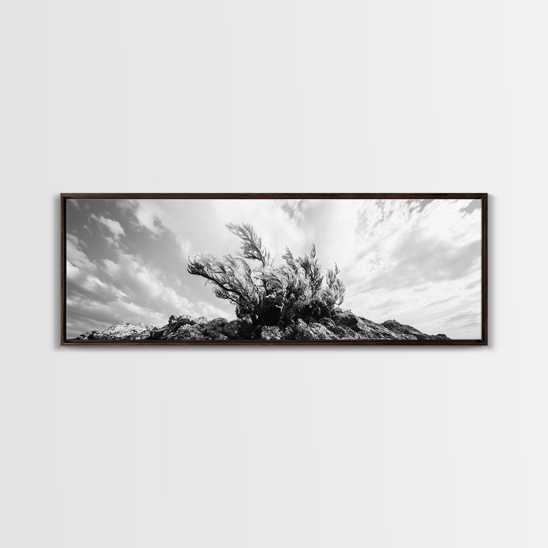 Windswept Kelp Rock, Ocean Botanical, Nature Inspired Canvas Print, Boho Style Art, Bathroom Wall Art, Sea Life Photography