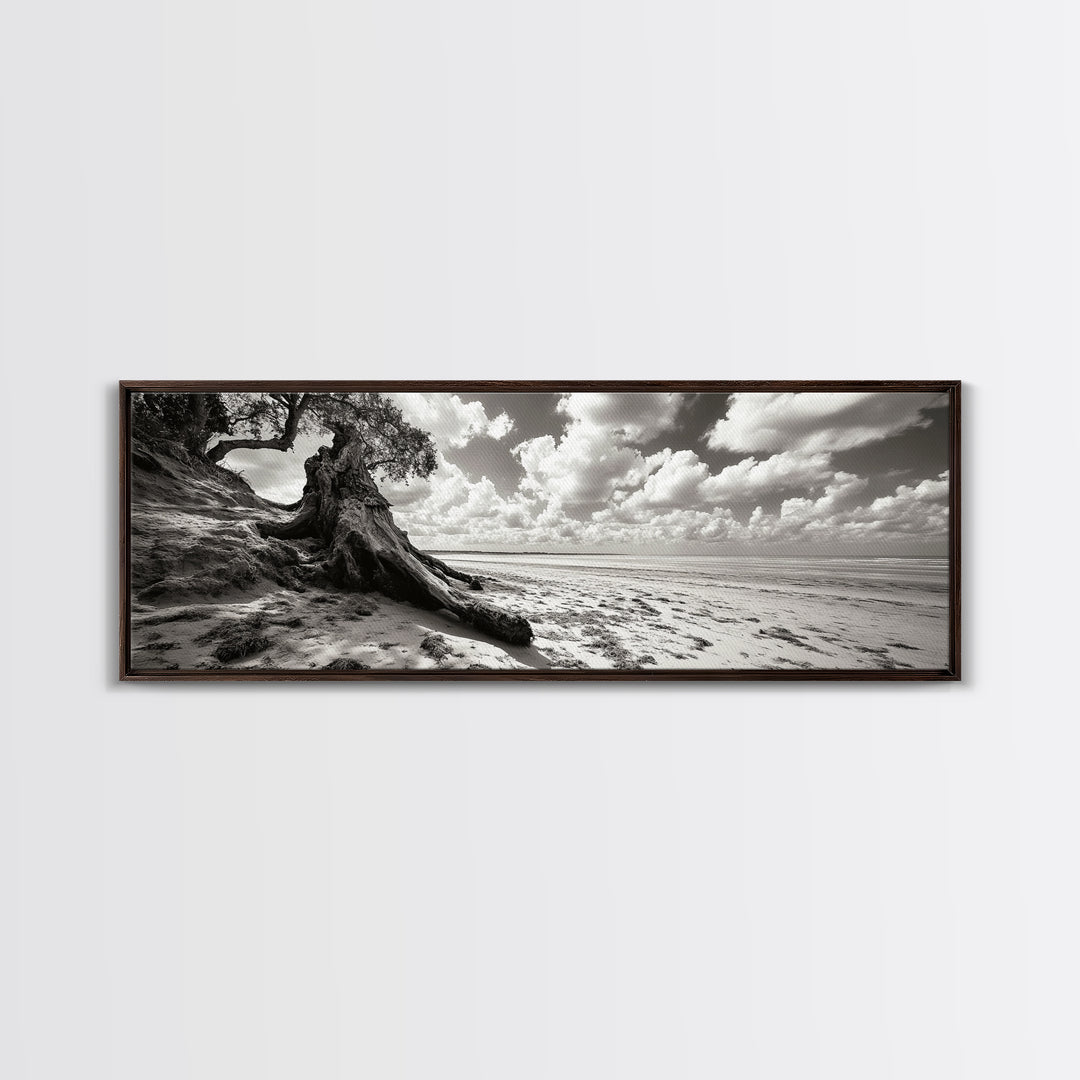 Coastal Tree Roots, Windswept Beach, Natural Form, Framed Canvas Print, Boho Wall Art, Entryway Decor, Beach House Aesthetic