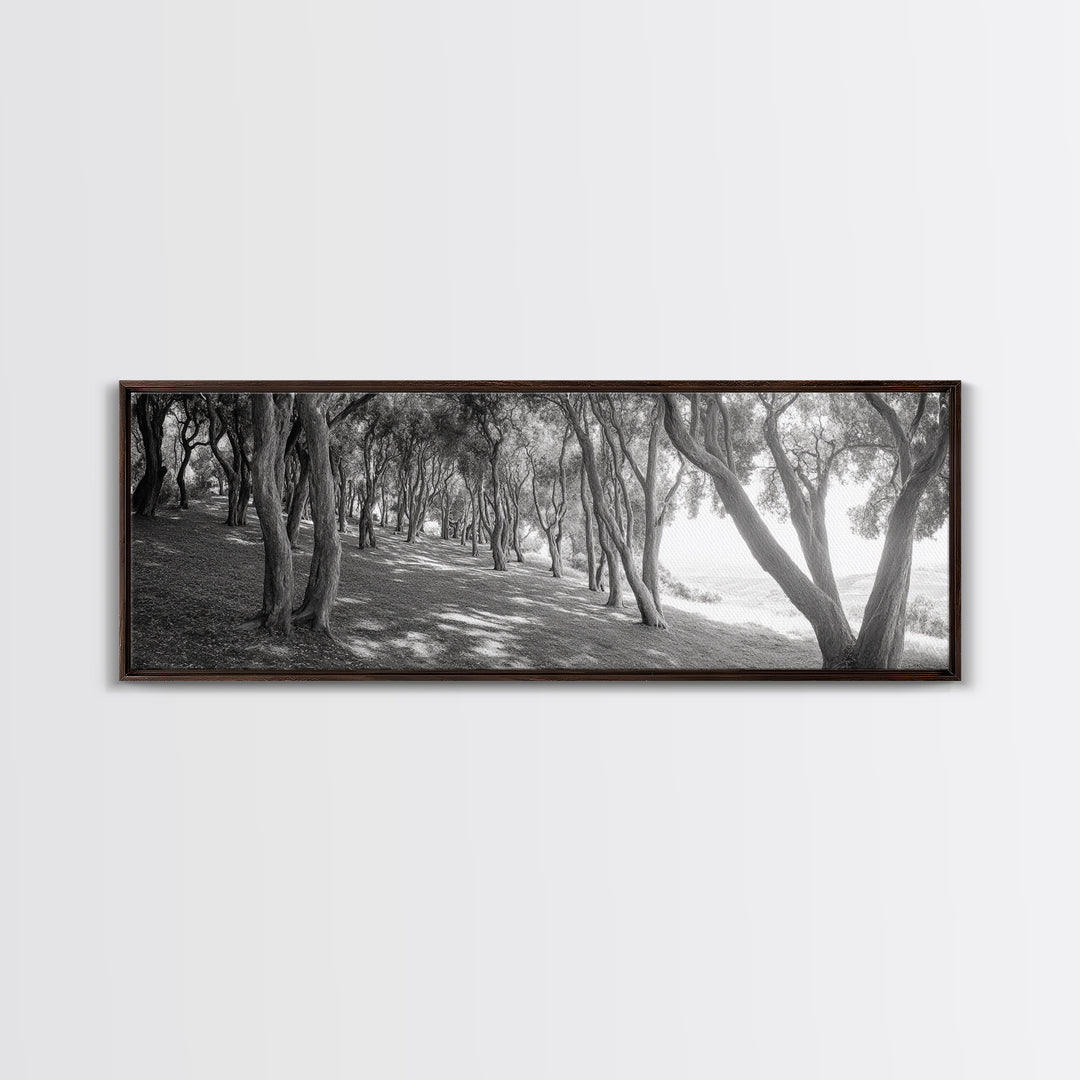 Forest Path, Tree Tunnel, Light Shadows, Woodland Magic, Framed Canvas Print, Nature Lover Gift, Entryway Wall Art, Modern Rustic Style