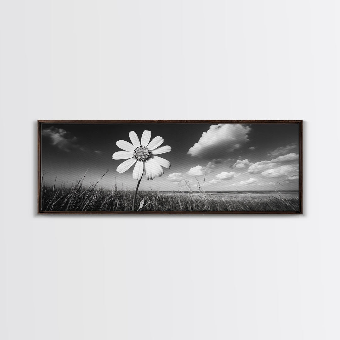 Daisy Flower, Single Bloom, Coastal Breeze, Minimal Wall Decor, Framed Canvas Print, Boho Bedroom Art, Nature Inspired Photography