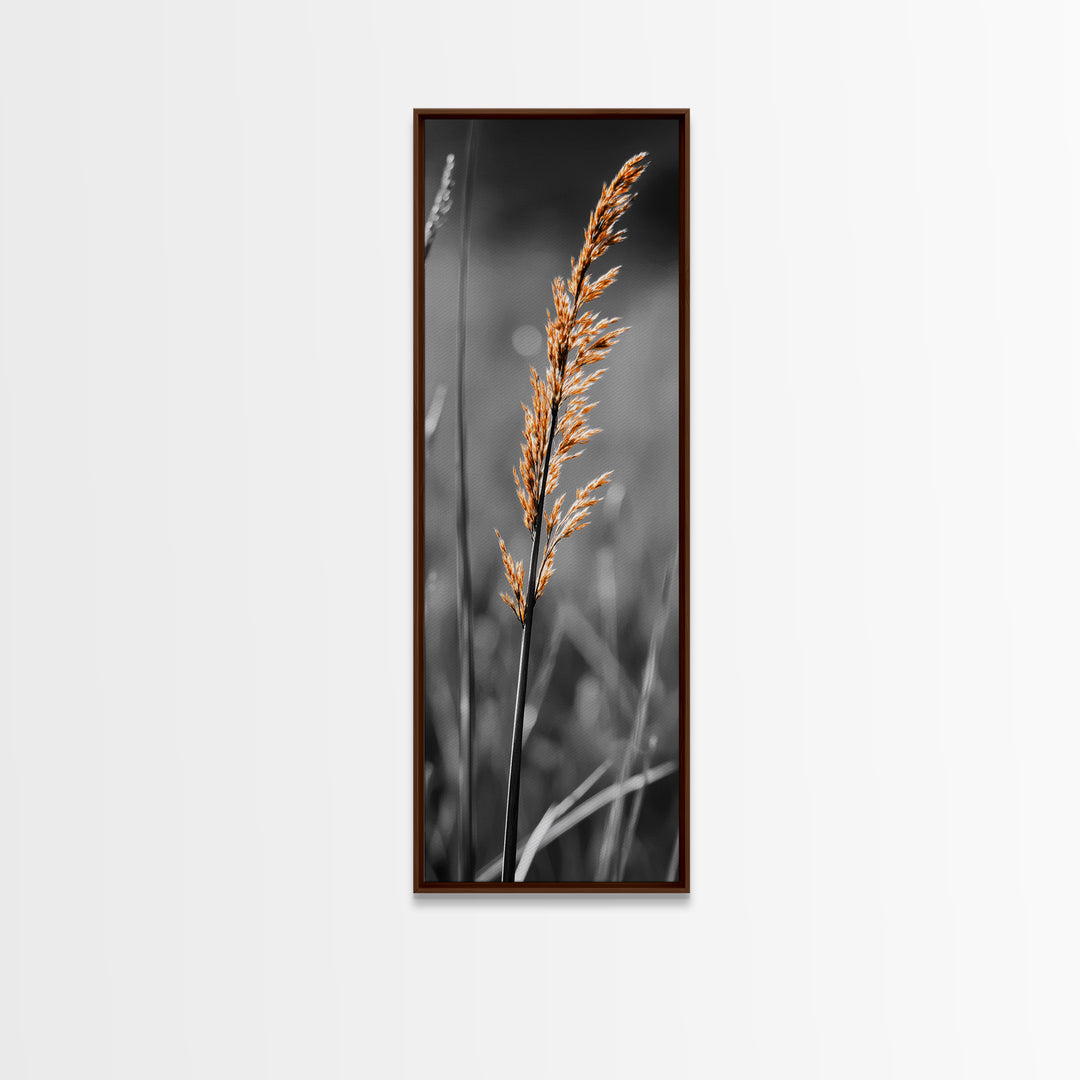Autumn Grass, Botanical Print, Nature Photography, Single Stem, Canvas Print, Fall Wall Art, Neutral Home Decor, Minimalist Living Room Art