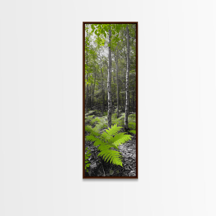 Birch Tree Forest, Green Ferns, Nature Escape, Framed Canvas Print, Botanical Art, Eco Wall Decor, Zen Forest Scene, Serene Living Room
