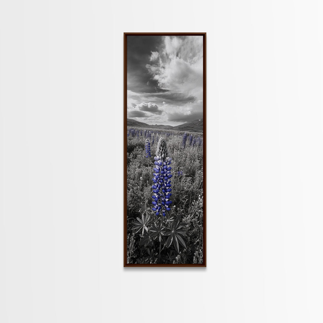 Blue Lupine, Wildflower Meadow, Cloudy Sky, Spring Bloom Framed Canvas Print, floral nature art, botanical hallway wall decor