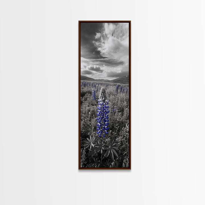 Blue Lupine, Wildflower Meadow, Cloudy Sky, Spring Bloom Framed Canvas Print, floral nature art, botanical hallway wall decor