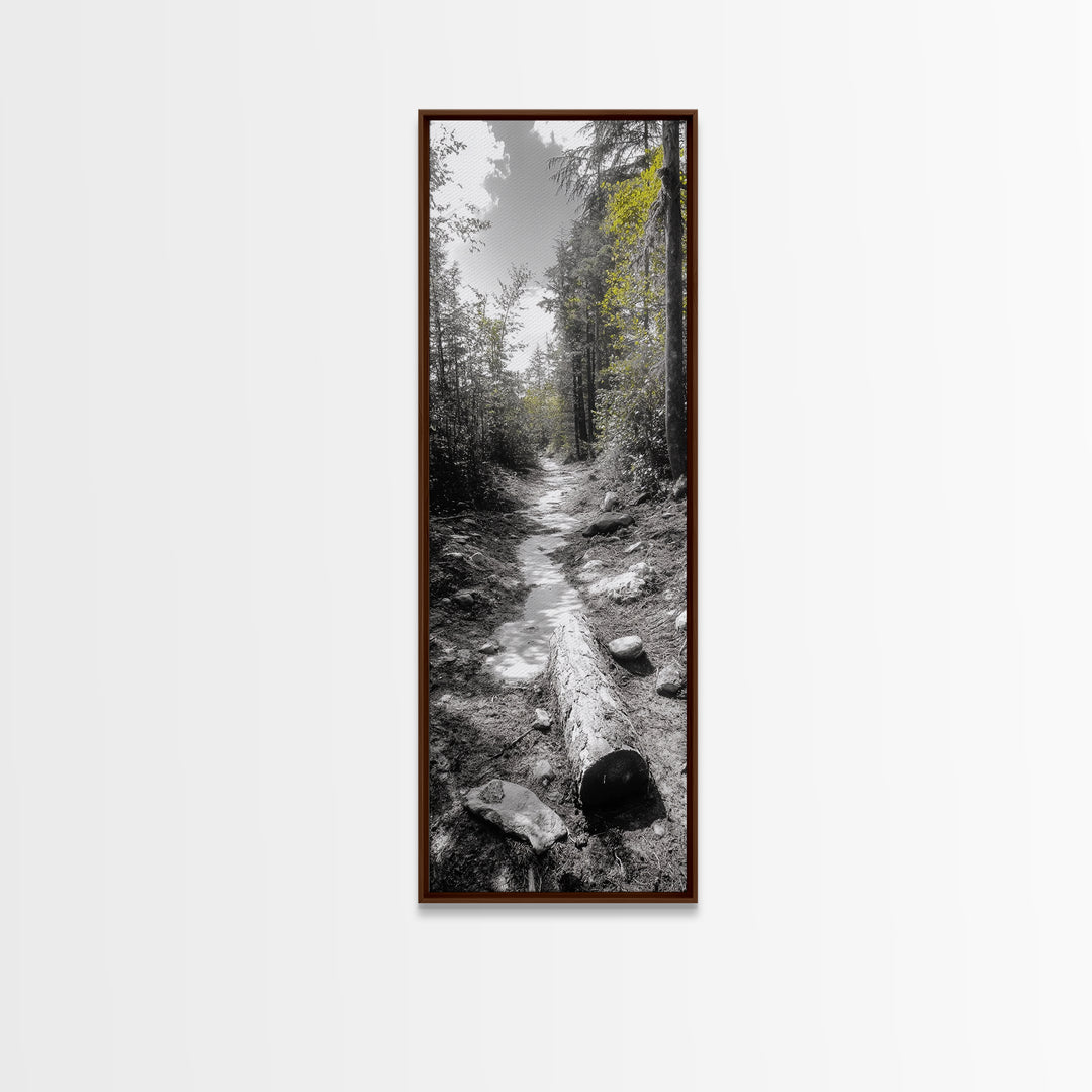 Forest Path, Autumn Leaves, Nature Trail, Framed Canvas Print, Black and White Wall Art, Cabin Decor, Rustic Hallway Accent
