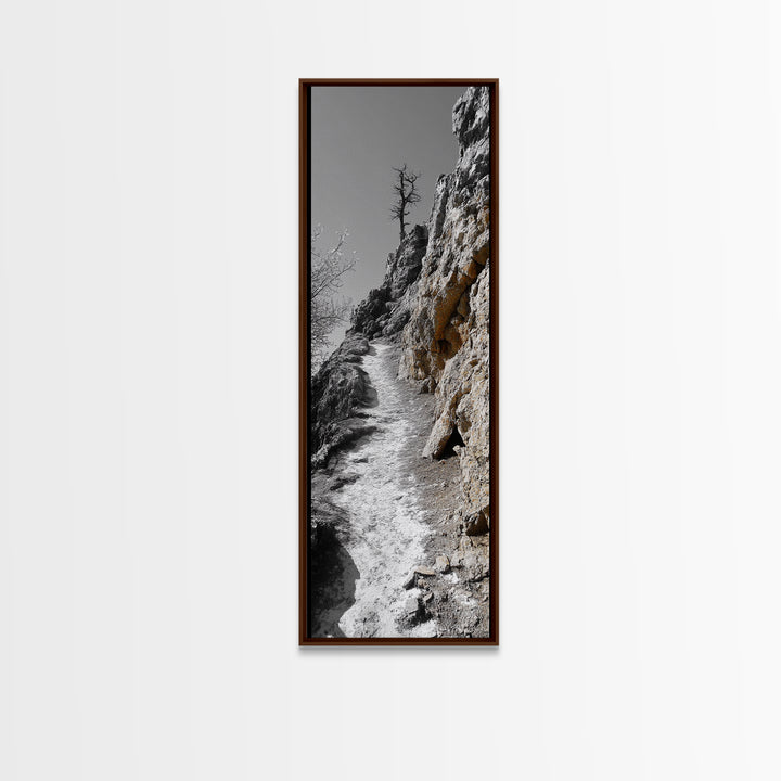 Cliff Pathway Art, Nature Trail Scene, Monochrome Rustic Landscape, Framed Canvas Print, Mountain Cabin Entryway Wall Decor