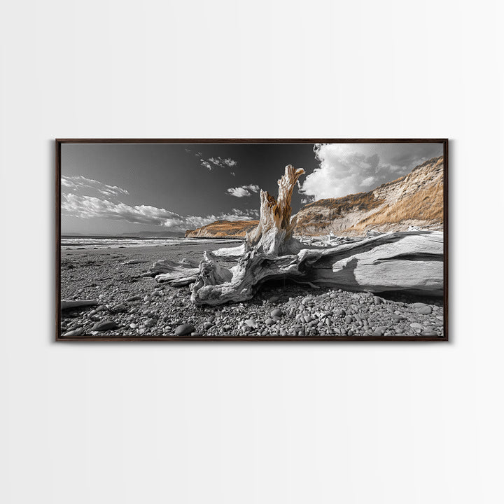 Coastal Driftwood, Beach Scene, Natural Texture, Modern Rustic, Framed Canvas Print, Neutral Tones, Office Wall Art, Coastal Vibe Decor
