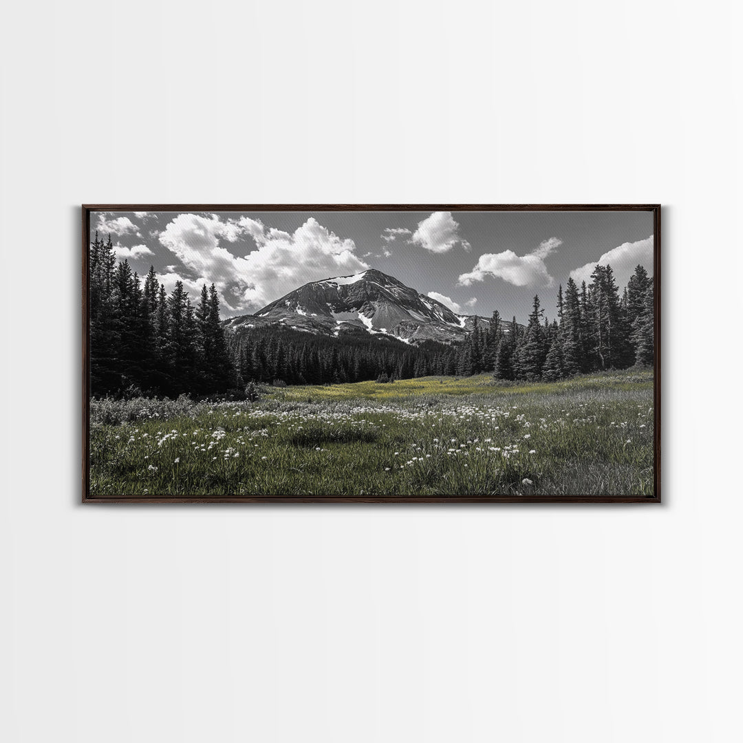 Mountain, Meadow, Wildflowers, Alpine meadow bloom and majestic peak on this Framed Canvas Print, serene Nature Wall Art for Entryway