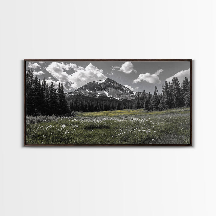 Mountain, Meadow, Wildflowers, Alpine meadow bloom and majestic peak on this Framed Canvas Print, serene Nature Wall Art for Entryway