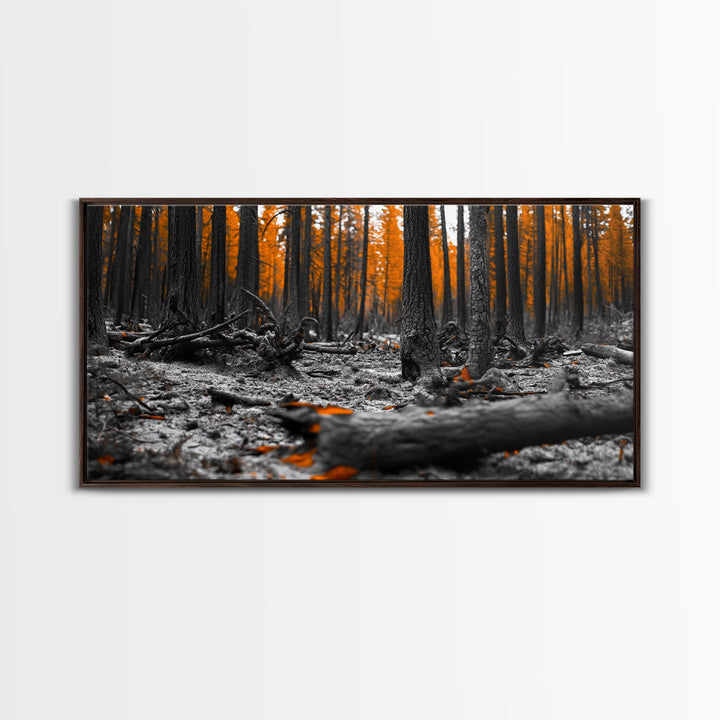 Autumn Forest Floor, Orange Leaves, Fall Nature Scene, Canvas Print, Rustic Wall Art, Cabin Decor, Moody Landscape Framed Canvas Print