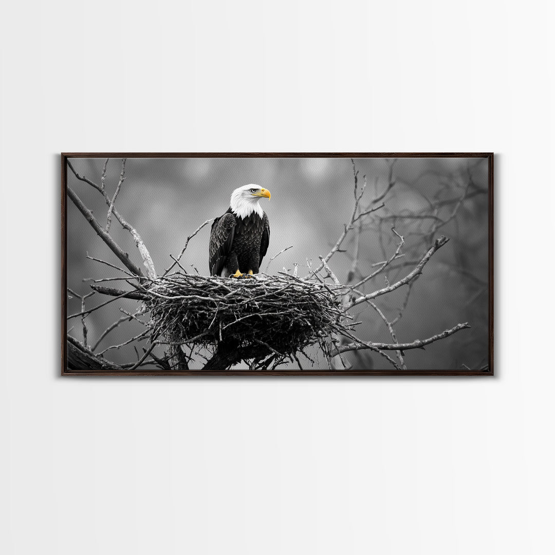 Bald Eagle, Monochrome Nature, Wildlife Photography, Fierce Majesty, Framed Canvas Print, Office Wall Art, Black White Bold Bird Scene