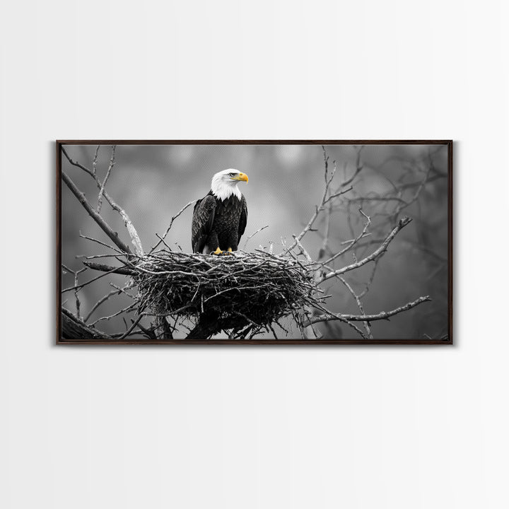 Bald Eagle, Monochrome Nature, Wildlife Photography, Fierce Majesty, Framed Canvas Print, Office Wall Art, Black White Bold Bird Scene