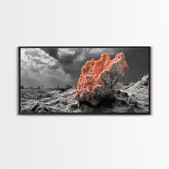 Coral Texture Art, Desert Coral Print, Earthy Organic Decor, Vibrant Nature Scene, Framed Canvas Print, Living Room Wall Art, Natural Art