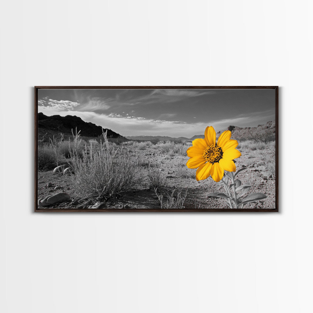 Yellow Flower, Desert Bloom, Monochrome Landscape, Canvas Print, Botanical Wall Art, Minimalist Nature Decor, Modern Kitchen Accent