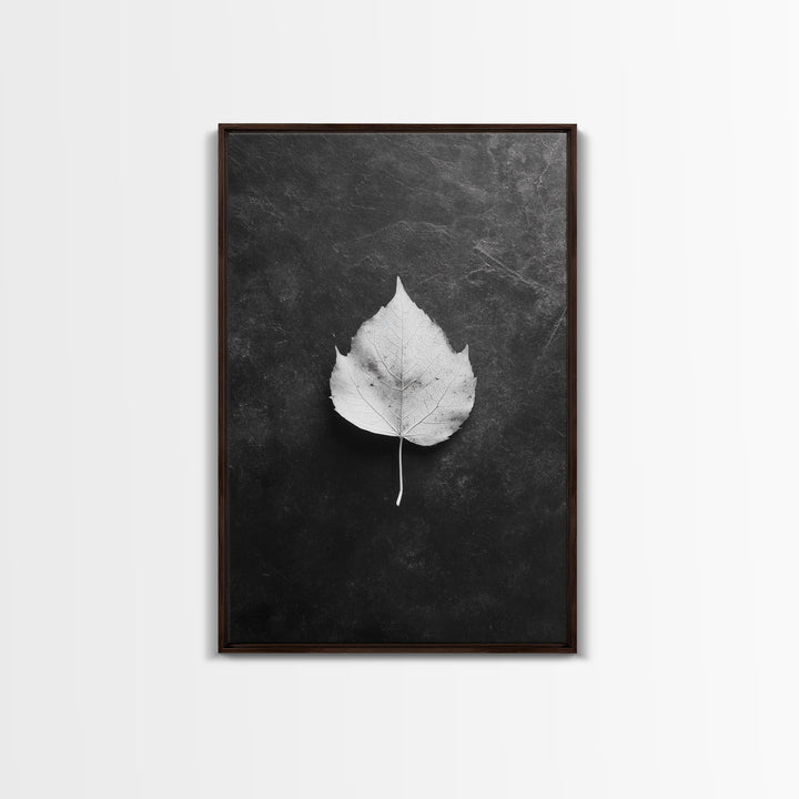 Monochrome Leaf, Nature Minimal, Still Life, Moody Art, Framed Canvas Print, Fall Wall Art, Kitchen Decor, Neutral Modern Aesthetic