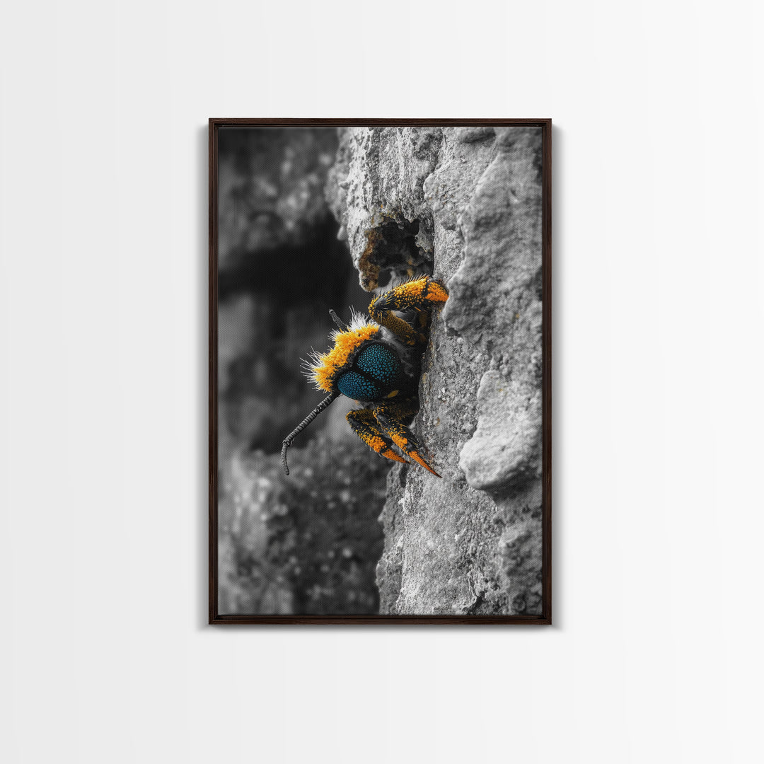 Fuzzy Bee Closeup, Insect Macro, Nature Texture, Framed Canvas Print, Wildlife Wall Art, Entomology Decor, Nature Photography