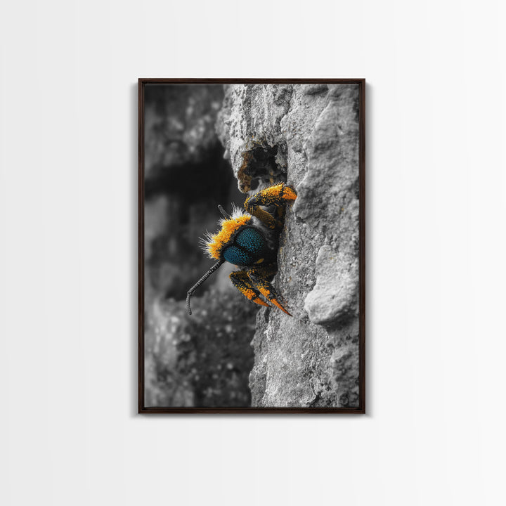 Fuzzy Bee Closeup, Insect Macro, Nature Texture, Framed Canvas Print, Wildlife Wall Art, Entomology Decor, Nature Photography