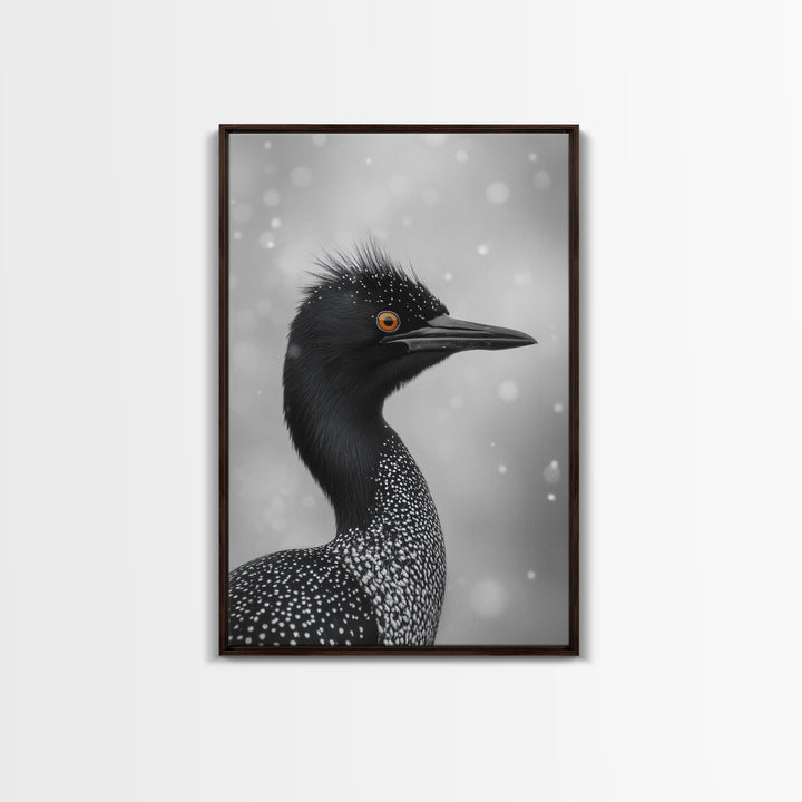 Black Loon, Bird Closeup, Snowy Glow, Winter Nature Canvas Print, Wildlife Wall Art, Modern Bedroom Decor, Birdwatcher Gift Print