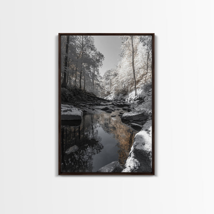 Autumn Creek Walk, Monochrome Forest Stream, Fall Reflections, Framed Canvas Print, Entryway Wall Art, Nature Trail Photography Decor