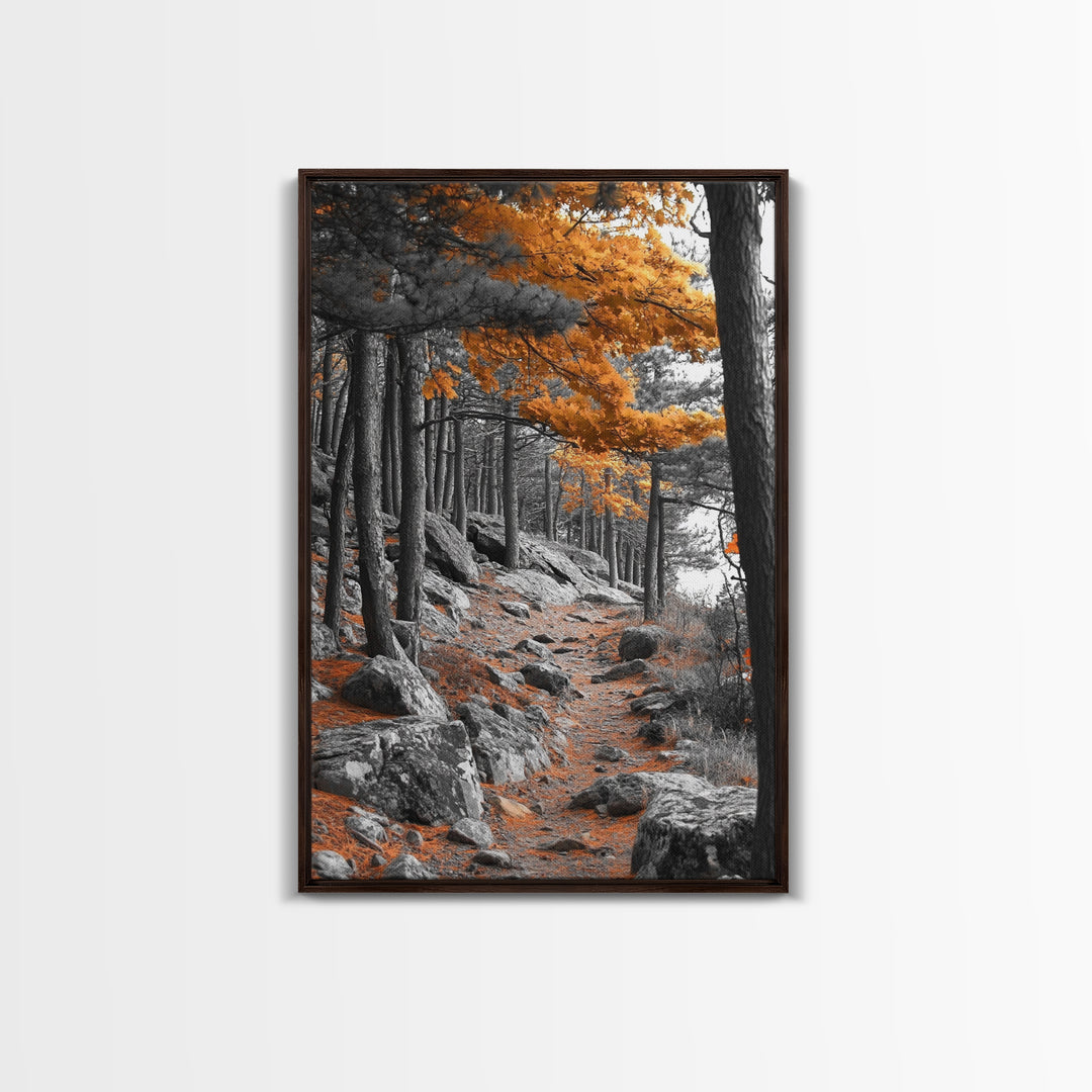 Autumn Forest Path, Orange Leaves, Rocky Woods Trail, Tranquil Nature, Framed Canvas Print, Fall Decor, Cabin Wall Art, Rustic Style