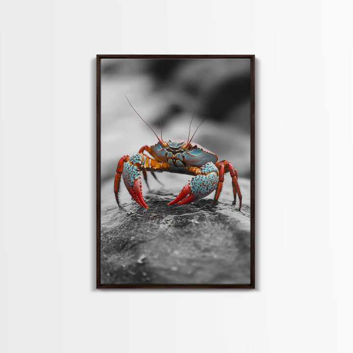 Blue Crab, Vibrant Shell, Coastal Creature Art, Framed Canvas Print, Bathroom Wall Art, Nautical Theme Decor, Ocean Wildlife Art
