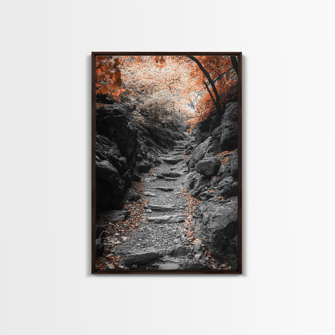 Rocky Trail, Autumn Leaves, Forest Path, Framed Canvas Print, Fall Nature Wall Art, Rustic Entryway Decor, Hiking Landscape Art