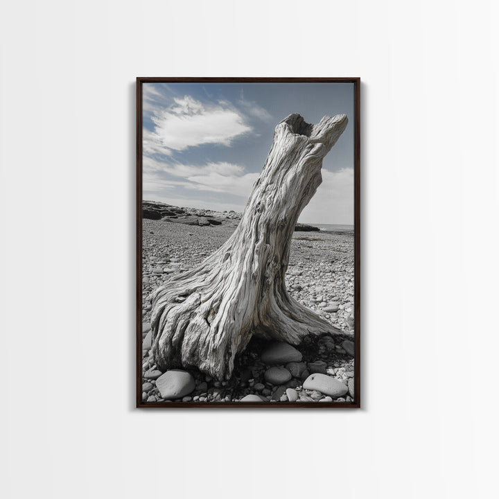 Coastal Driftwood, Beach Stump, Pebble Shore, Framed Canvas Print, Rustic Wall Art, Bathroom Decor, Earthy Beach House Accent