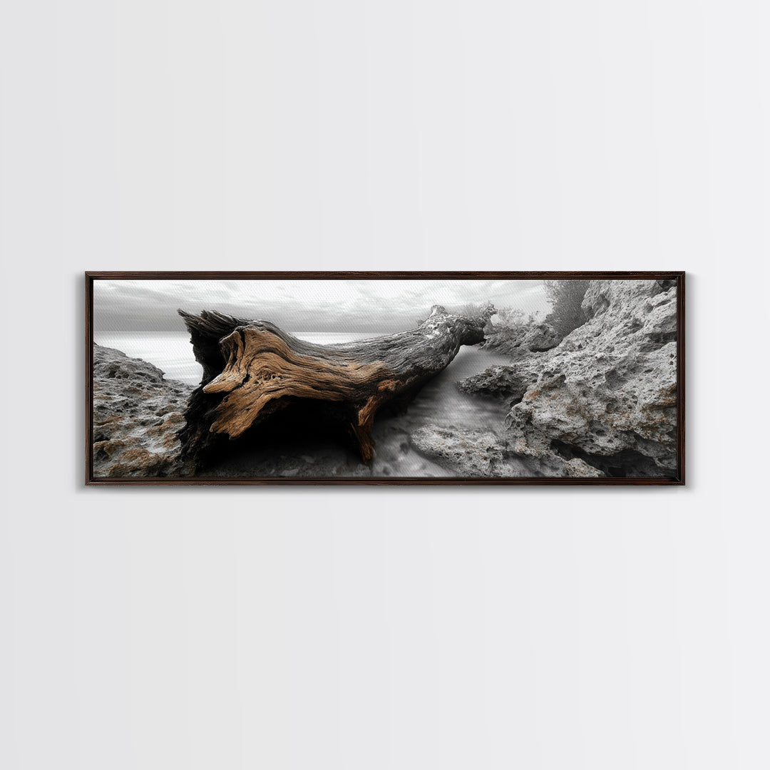 Driftwood Coast, Ocean Roots, Washed Ashore, Beach Texture — Canvas Print, Coastal Decor, Bathroom Wall Art, Monochrome Nature Photography
