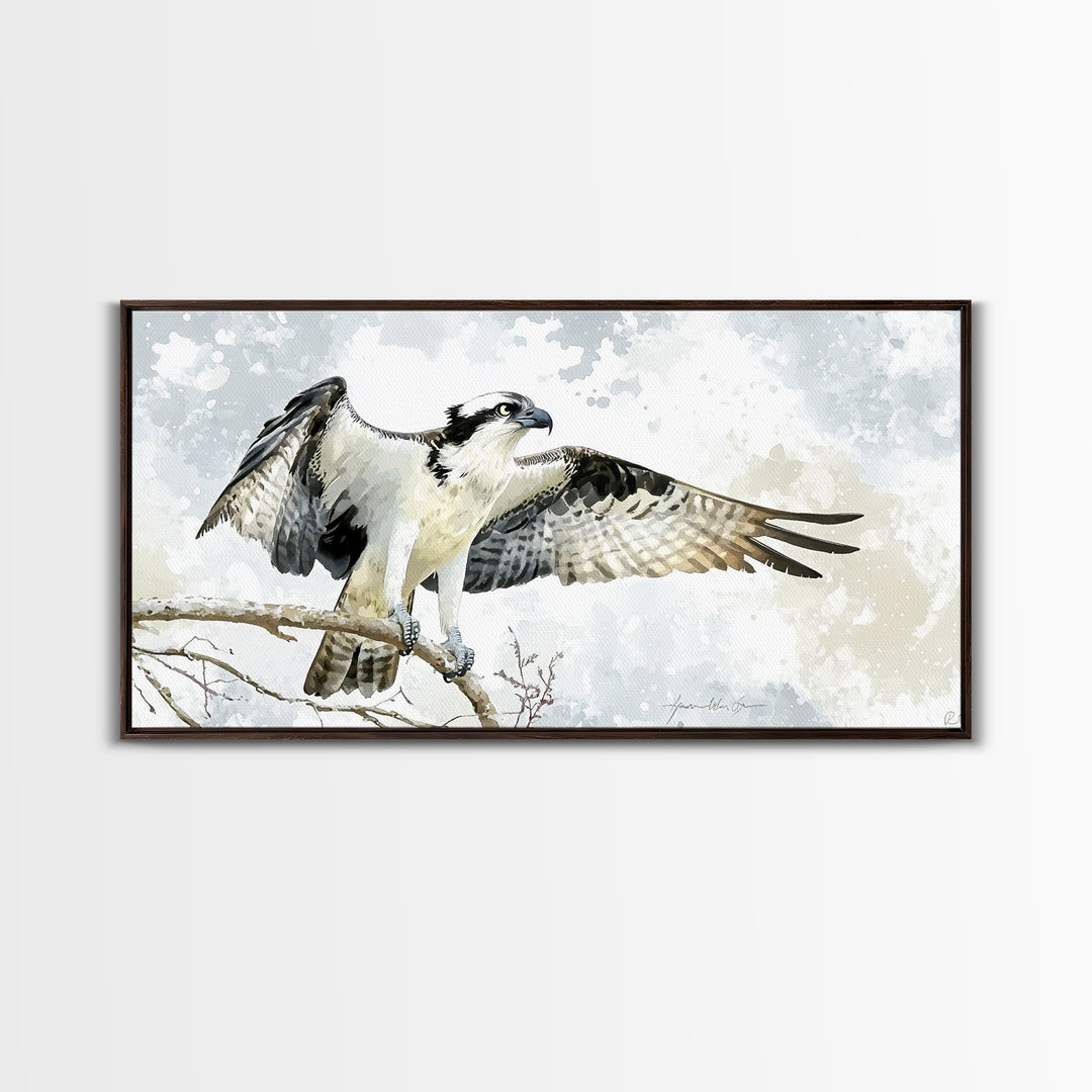 Landing Osprey On Winter Branch Canvas Print, Watercolor Hawk Wall Art, Rustic Nature Decor, Bird Lover Housewarming Gift