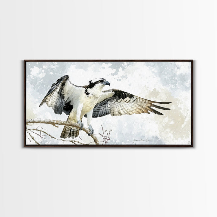 Landing Osprey On Winter Branch Canvas Print, Watercolor Hawk Wall Art, Rustic Nature Decor, Bird Lover Housewarming Gift