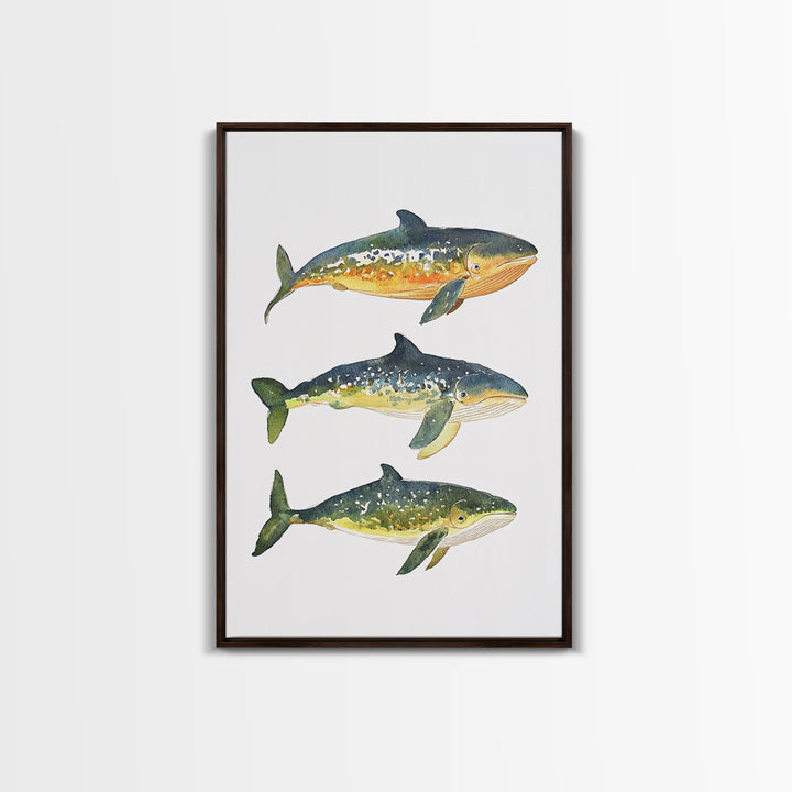 Three Colorful Whales Canvas Print, Marine Life Wall Art, Ocean Animal Art Print, Coastal Nursery Decor, Whale Lover Gift