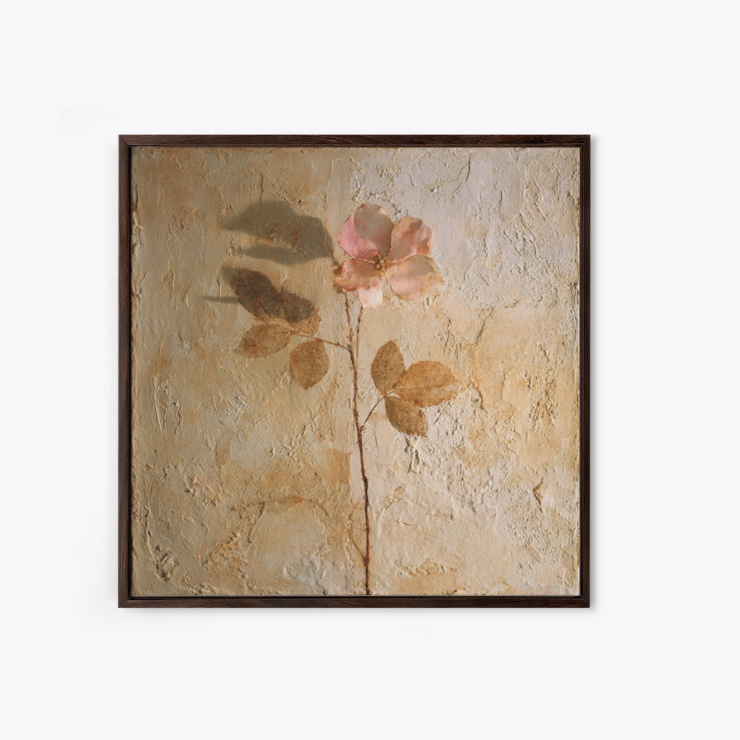 Tonal Botanical Shadows on Plaster Surface Canvas Print, Above Bed Art, Photography Prints, Bedroom Decor, Serenity, ABA-1x1-71