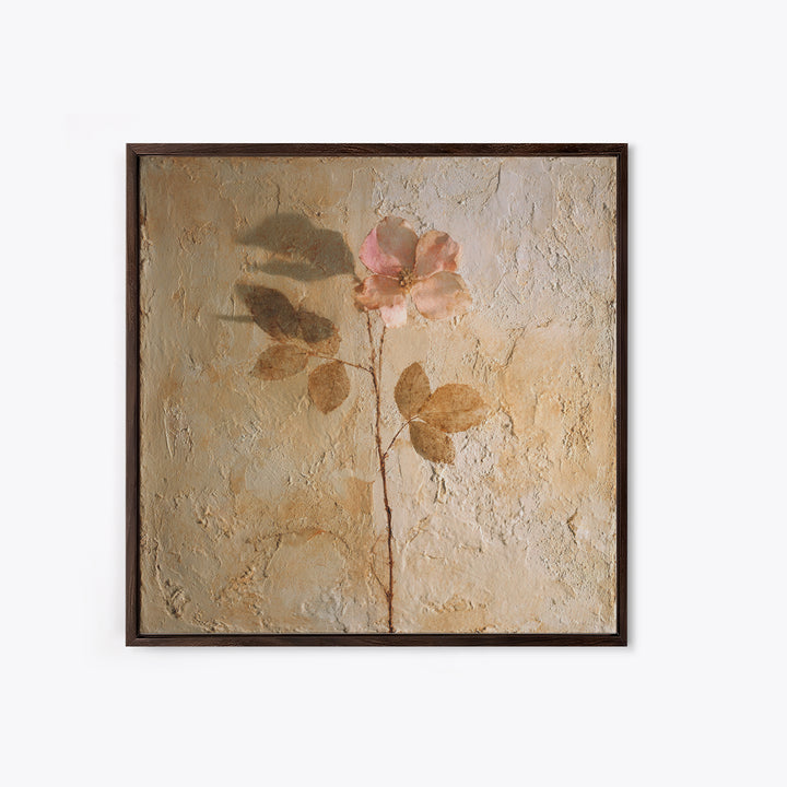 Tonal Botanical Shadows on Plaster Surface Canvas Print, Above Bed Art, Photography Prints, Bedroom Decor, Serenity, ABA-1x1-71