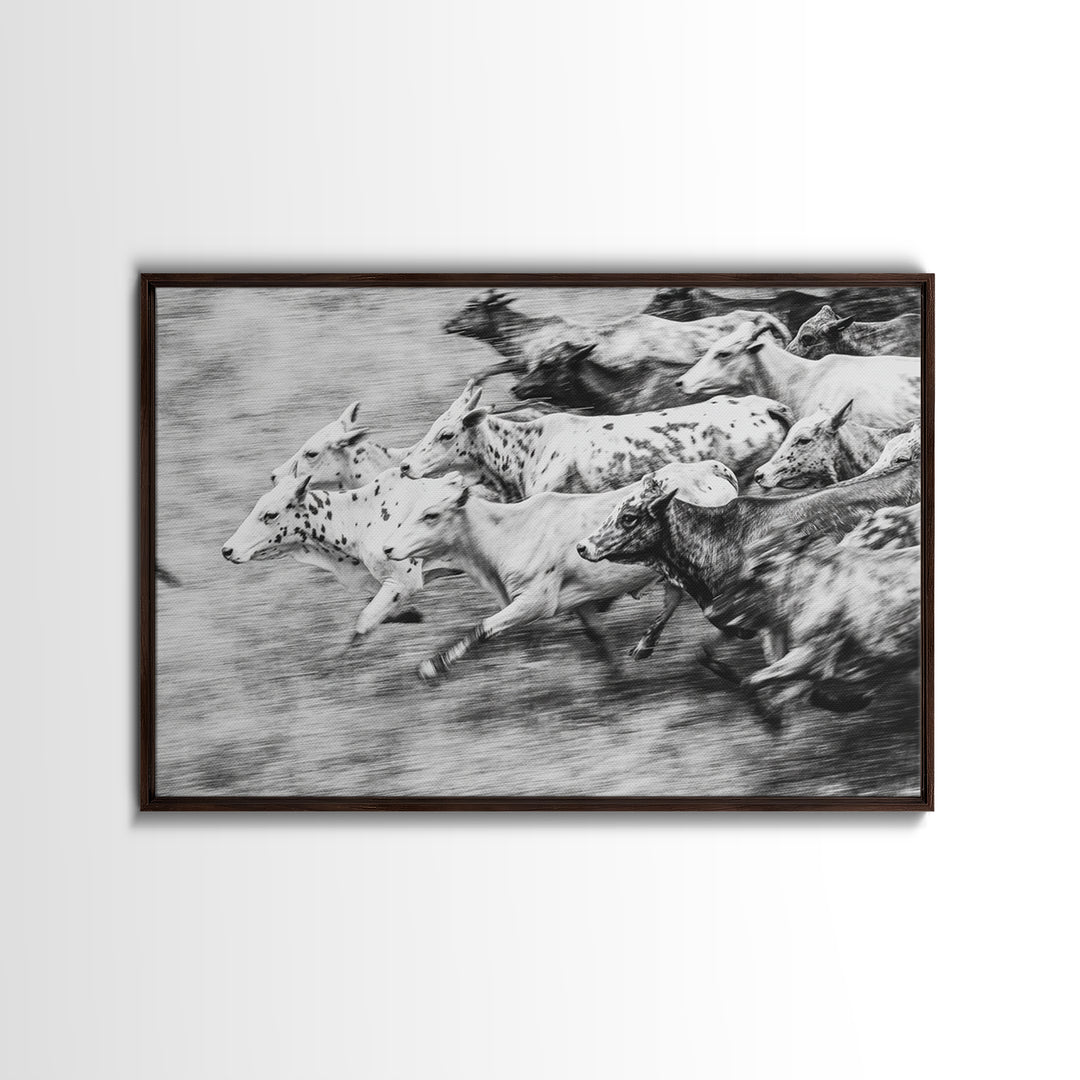 Black And White Running Cattle Wall Art, African Safari Animal Print, Rustic Farmhouse Decor, Western Herd Canvas Artwork