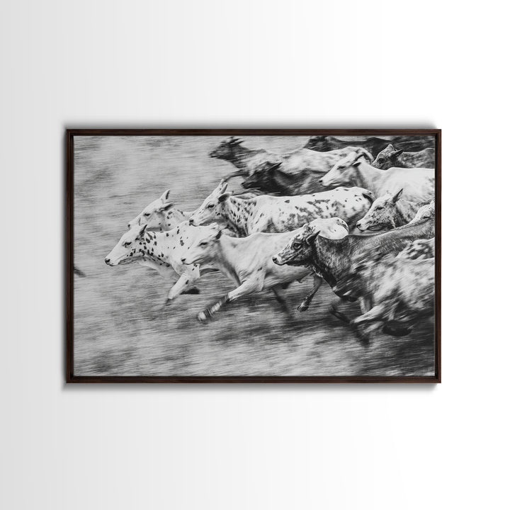 Black And White Running Cattle Wall Art, African Safari Animal Print, Rustic Farmhouse Decor, Western Herd Canvas Artwork