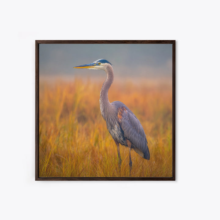 Blue Heron Standing Framed Canvas Print, Animal Art, Statement Artwork, Living Room Decor, Fine Art, Creature, Wall Decor, ANI-1x1-83