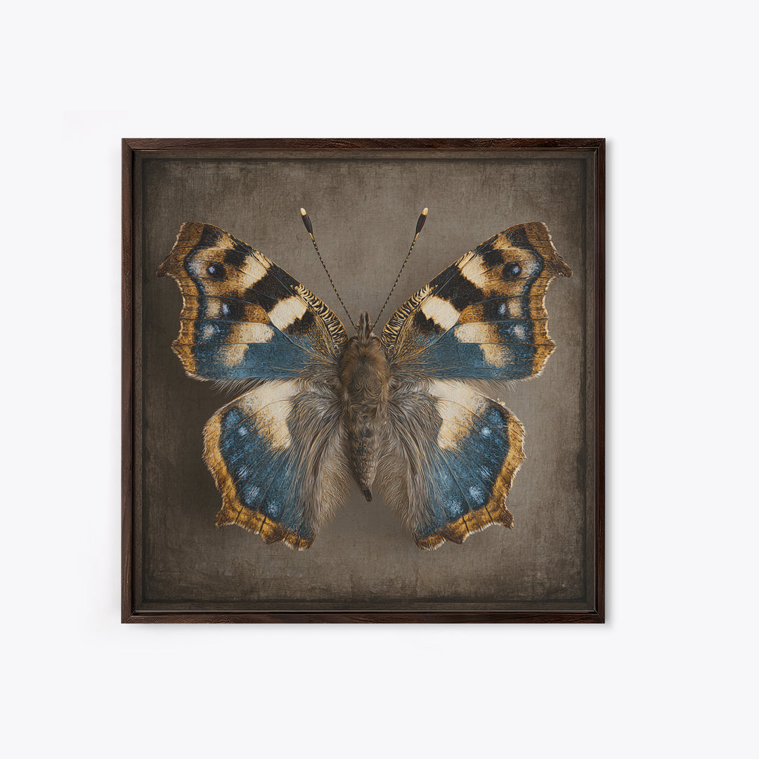 Butterfly Specimen Composition Canvas Print, Animal Art, Neutral Decor, Living Room Decor, Fine Art, Creature, Wall Art, ANI-1x1-95