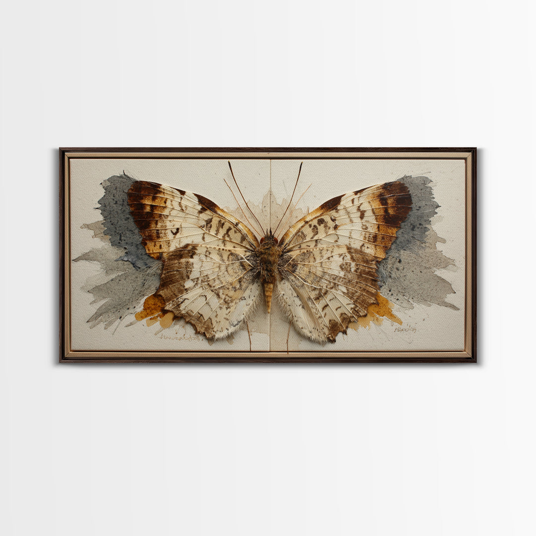 Butterfly Specimen Composition Framed Canvas Print, Animal Art, Digital Prints, Living Room Decor, Fine Art, Creature, ANI-2x1-43