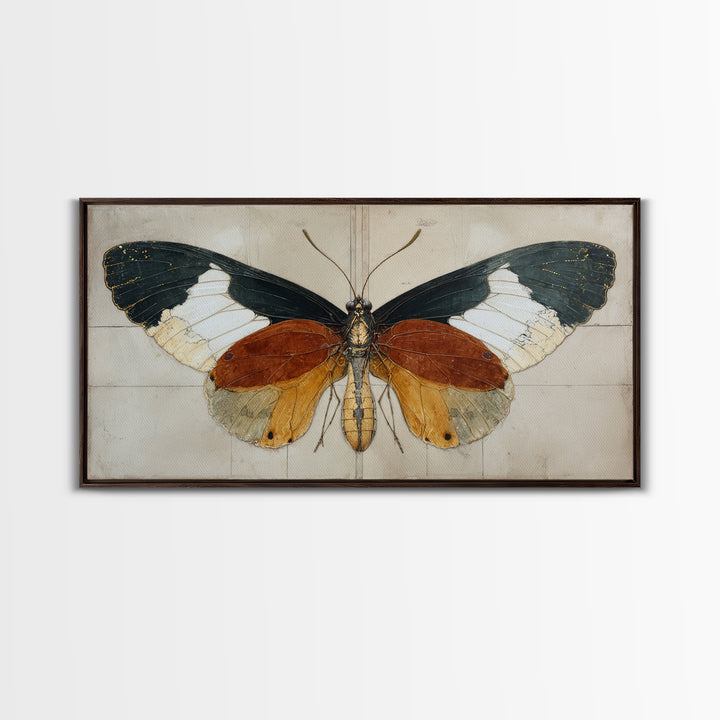 Butterfly Specimen Composition Framed Canvas Print, Animal Art, Digital Art, Living Room Decor, Creature, Farmhouse Decor, ANI-2x1-91