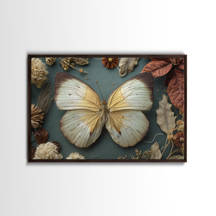 Butterfly Specimen Composition Canvas Print, Animal Art, Nursery Art, Living Room Decor, Fine Art, Creature, Luxury Decor, ANI-3x2-51