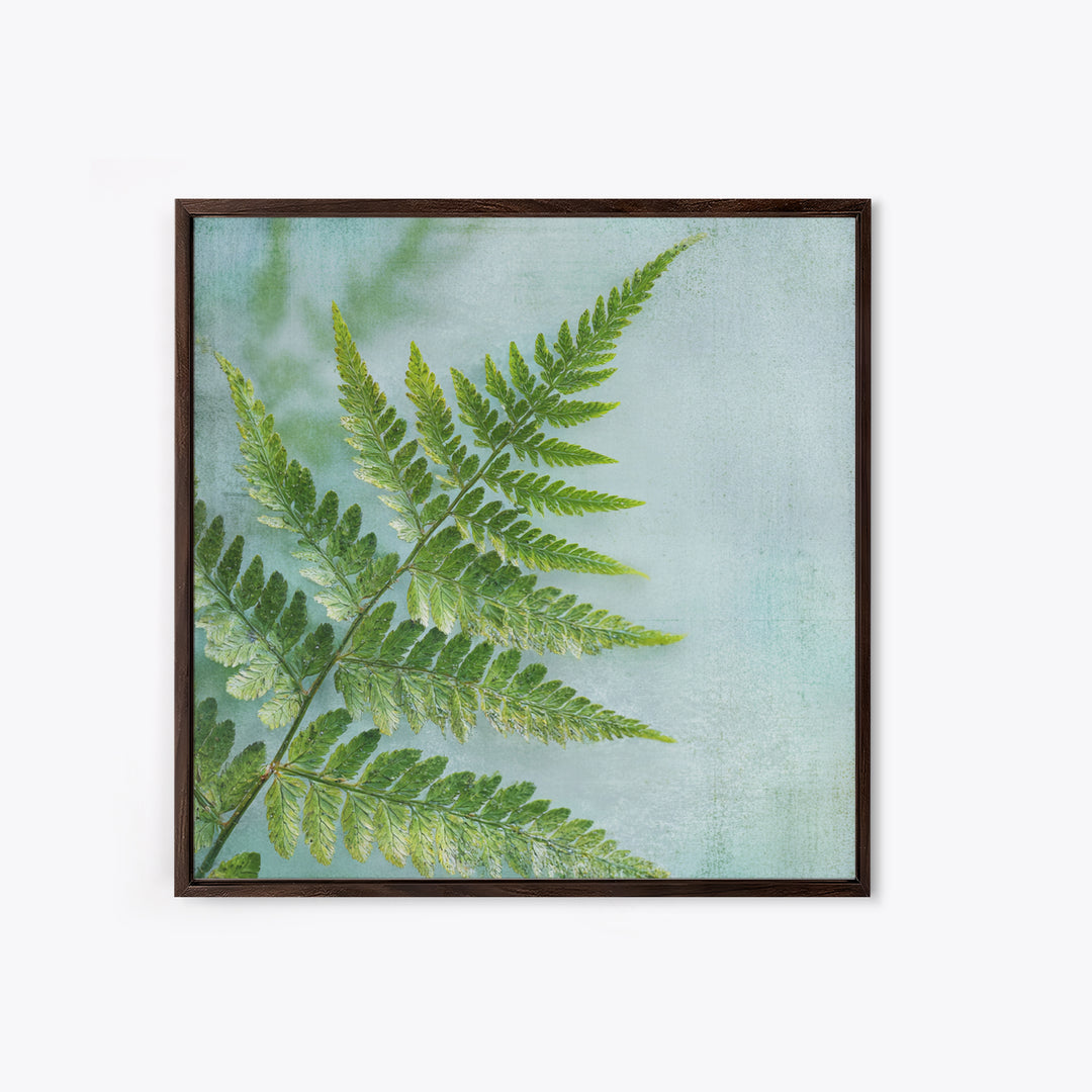 Green Fern Frond Closeup Canvas Print, Bathroom Art, Bathroom Prints, Bathroom Decor, Fine Art, Spa, Trendy Wall Art, BAT-1x1-10