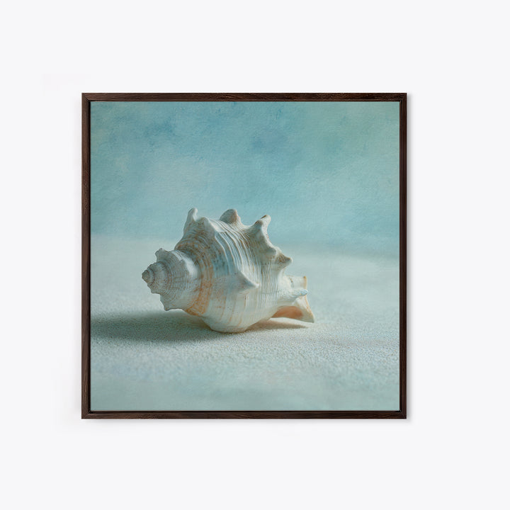 Minimal Seashell Still Life on Pale Sand Canvas Print, Bathroom Art, Custom Pet Portrait, Bathroom Decor, Abstract Art, Spa, BAT-1x1-3