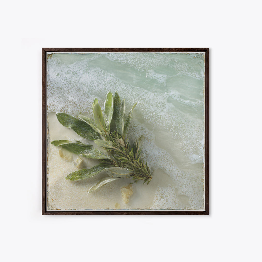 Botanical Bath Herb Arrangement Framed Canvas Print, Bathroom Art, Minimalist Wall Art, Bathroom Decor, Oil Painting, Spa, BAT-1x1-41