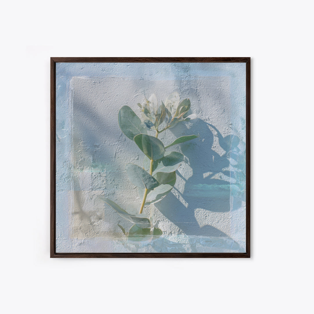 Sunlit Window Plant Shadow on Plaster Framed Canvas Print, Bathroom Art, Unique Wall Art, Bathroom Decor, Abstract Art, Spa, BAT-1x1-42