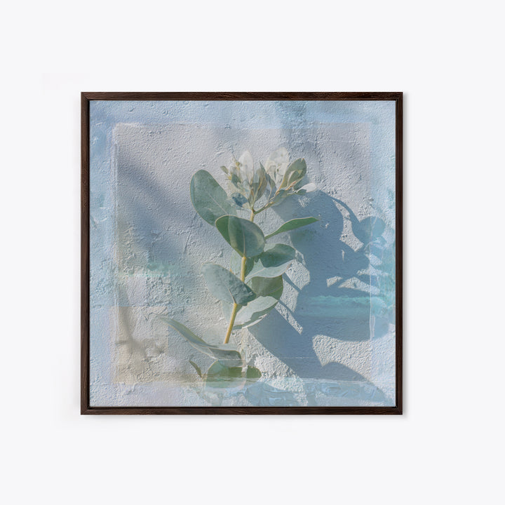 Sunlit Window Plant Shadow on Plaster Framed Canvas Print, Bathroom Art, Unique Wall Art, Bathroom Decor, Abstract Art, Spa, BAT-1x1-42