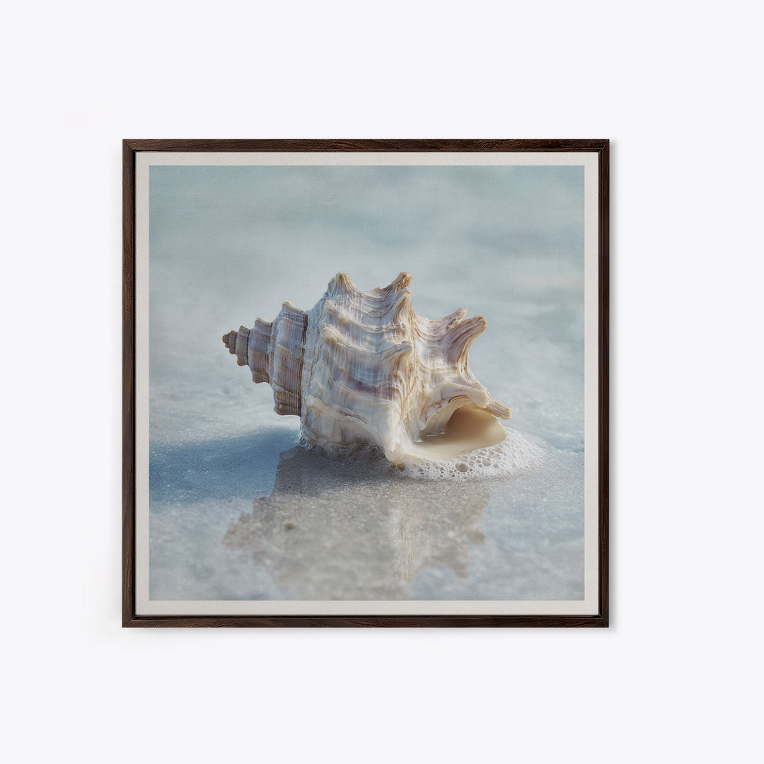 Minimal Seashell Still Life on Pale Sand Framed Canvas Print, Bathroom Art, Minimalist Wall Art, Bathroom Decor, Oil Painting, BAT-1x1-51