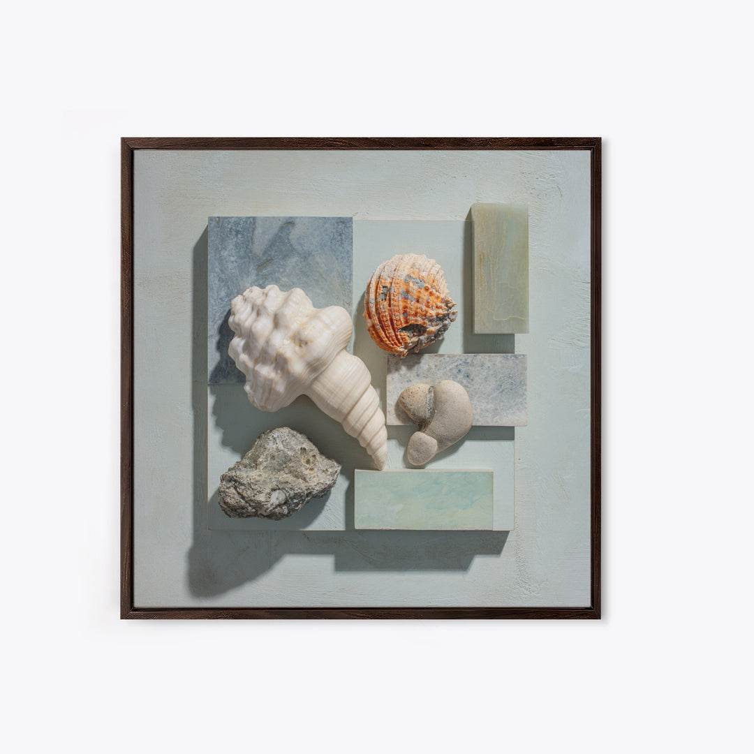 Coral and Shell Arrangement Canvas Print, Bathroom Art, Funny Bathroom Art, Bathroom Decor, Fine Art, Spa, Art Print, BAT-1x1-59
